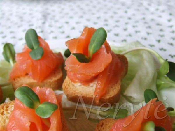 canape_lasisa