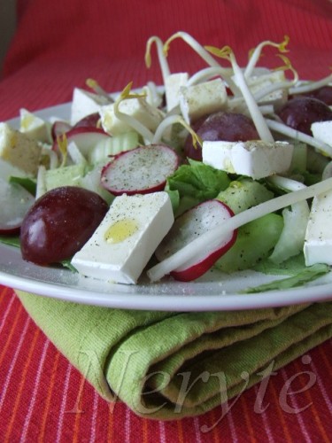 salotos_su _brie