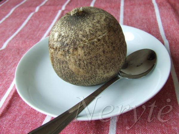 ridikas