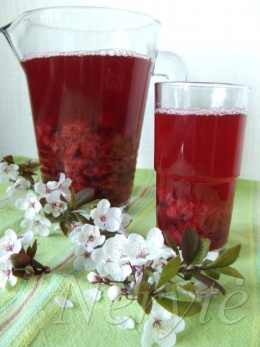 kompotas