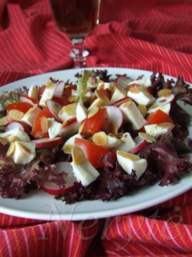 lollo rosso salotos