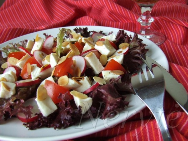 lollo rosso salotos