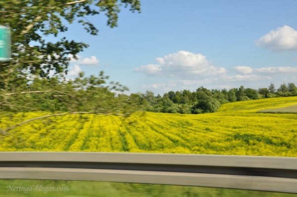 Pakeliui i LT
