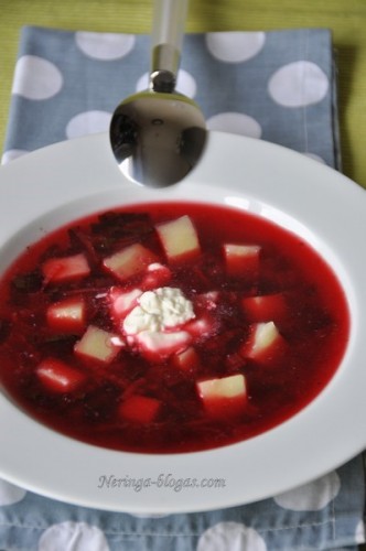 jaunu_burokeliu_sriuba