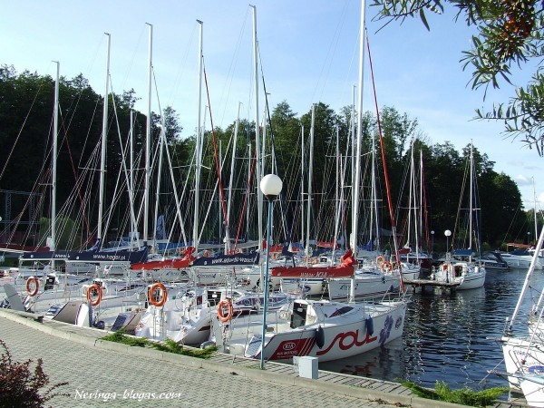 Mazury
