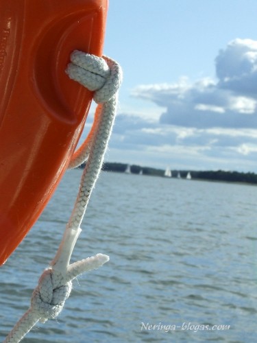 Mazury