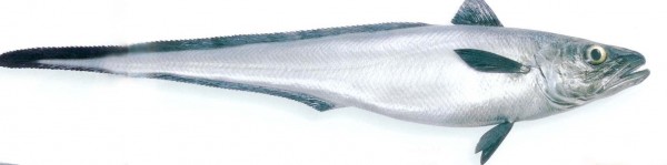 Miruna