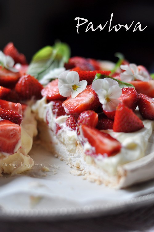 pavlova